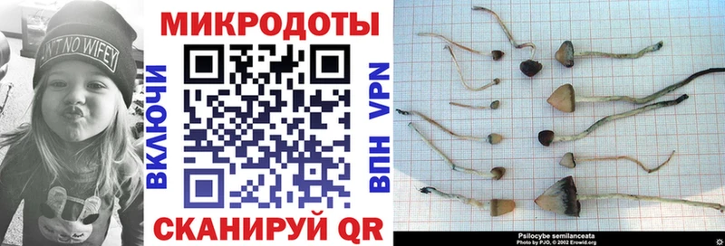 гидра как войти  Миасс  Галлюциногенные грибы GOLDEN TEACHER 